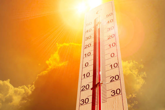 ¿Cómo afecta la temperatura a tu adhesivo?